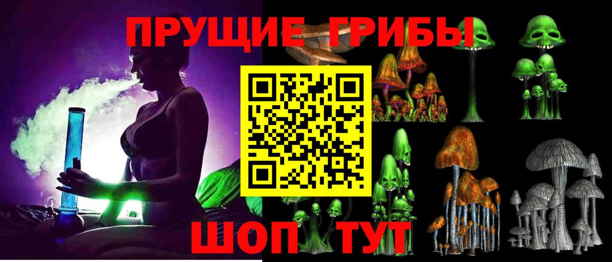 купить наркотик  Вход с VPN  Дзержинский  Псилоцибиновые грибы мицелий 
